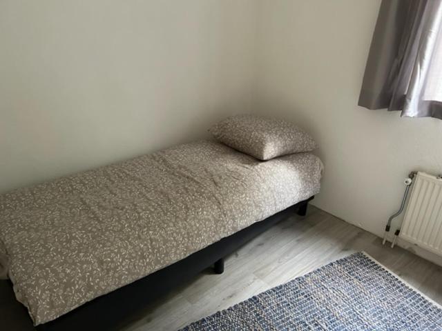 Gezellige Vakantiewoning Aan Het Water In Ewijk - Recreational Only No Workers エクステリア 写真